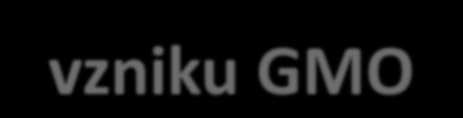 Organizmus s vloženými jednotlivými vlastnostmi = GMO (GMVR, GMM, GMŽ) Jde o organizmus se záměrně vloženým (nebo odstaněným) genem Transgenní organizmus má vložený gen, který byl vnesen z jiného