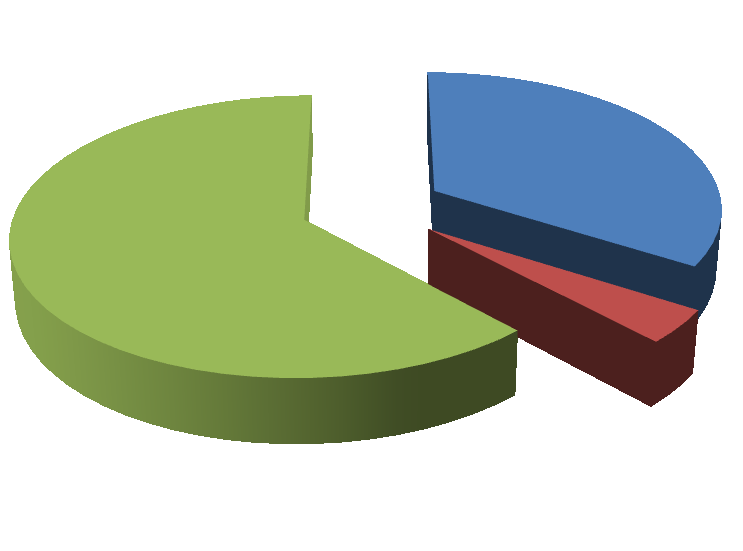Graf 2: Podíl jednotlivých finančních zdrojů na celkových příjmech 34% 62% Vlastní zdroje Soukromé subjekty Veřejné subjekty 4% ZDROJ: VLASTNÍ ZPRACOVÁNÍ Tabulka 2: Příjmy RC Domeček od jednotlivých