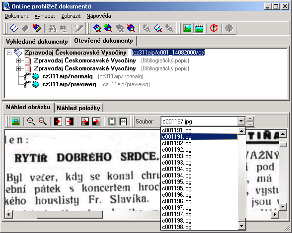 Program na interní