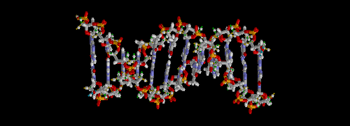 Dvojšroubovice deoxyribonuleové kyseliny je díky zálohování informace pomocí komplementárního vlákna v organismech využívána k ukládání a kopírování informace.