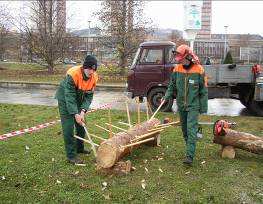 Provozní pracoviště (počty žáků na provozních pracovištích ve školním roce 2007-2008) Firma Počet žáků MUS a.s. 11 Elsev s.r.o. 6 KSK a. s. 2 AUTOPLUS II. s.r.o. 2 BAPEC s.r.o. 1 EQUIPARK o.p.s. 8 STOZ spol.