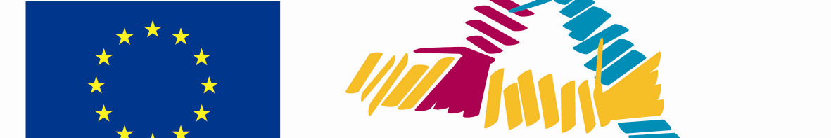 GRUNDTVIG pro organizace C) Dobrovolnické projekty: mezinárodní spolupráce 2 organizací projektové období 2 roky každá z organizací vyšle a přijme 2 6