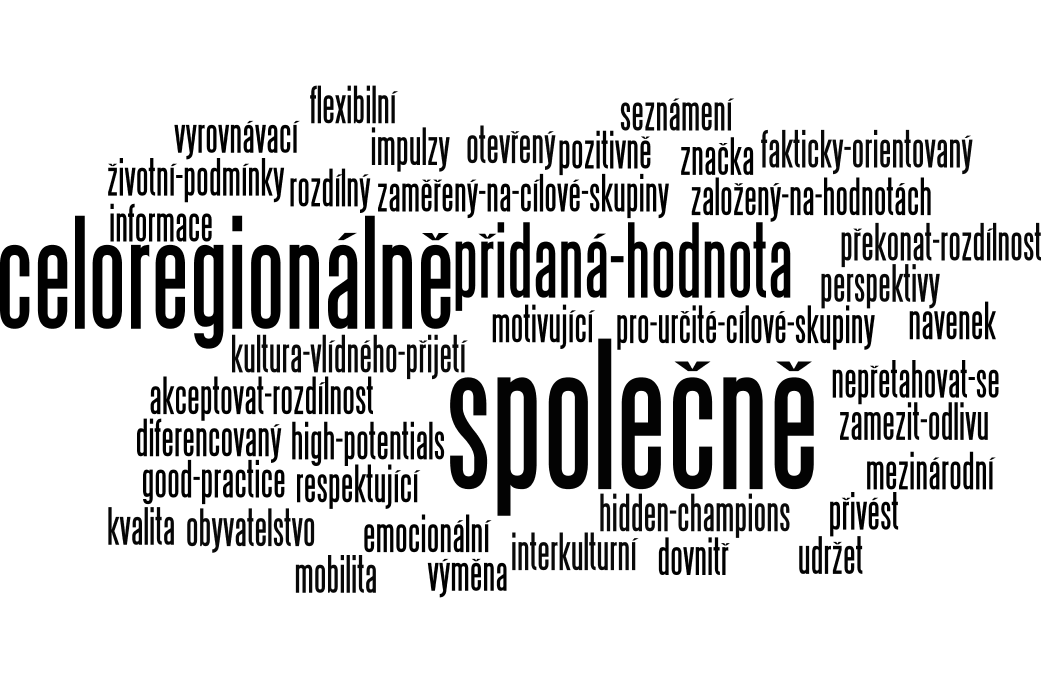 Zhruba 55 % účastníků pocházelo z Plzeňského kraje a 45 % z Horního Falcka, což svědčí o vyrovnaném zastupení obou regionů.