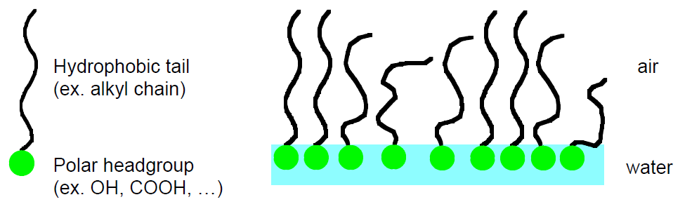 Základní stavební prvek surfaktanty nebo omfifile - jeden konec hydrofobní a druhý