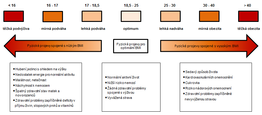 Obr. 1 Spektrum hodnot BMI pro dospělého jedince Zpracováno podle: SOFI 2000, s. 10 Podvýživa je definována jako nedostatečný příjem energie nebo živin po určitou dobu. (KUNA, Z. 2010, s.