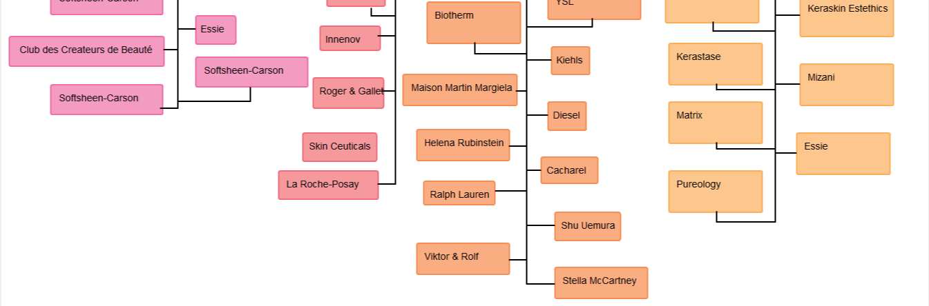 5: Organizační struktura Zdroj: