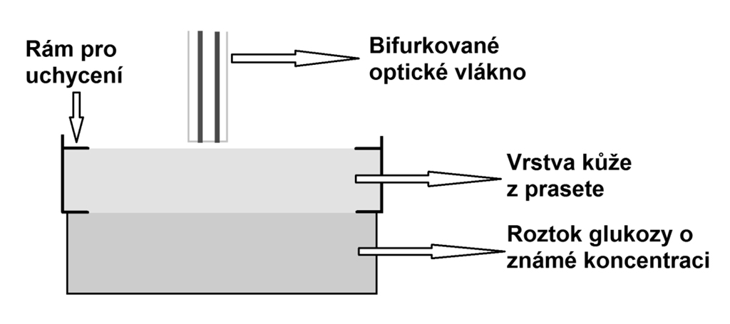 Obrázek 29: Kalibrační fantom 6.1.1. Příprava kalibračních fantomů Pro přípravu kalibračního fantomu je třeba čerstvé prasečí kůže o požadované tloušťce. Kůže musí být vláčná a zbavená tukové vrstvy.