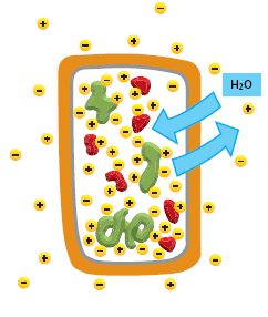 Kontrola osmolarity