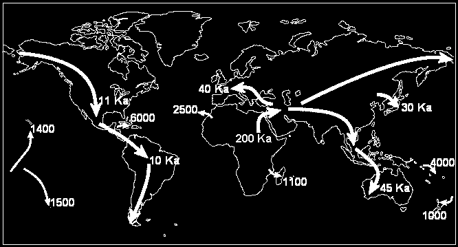 MIGRACE Homo sapiens Zdroj: http://www.