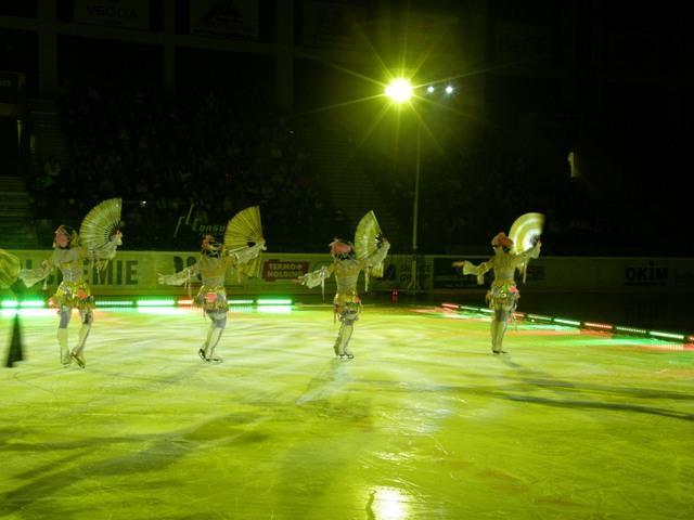 3.2.3 Stadiony 3.2.3.1 Zimní stadion Rok 2009 byl pro provozovnu Stadiony úspěšný konáním kulturních a sportovních akcí.