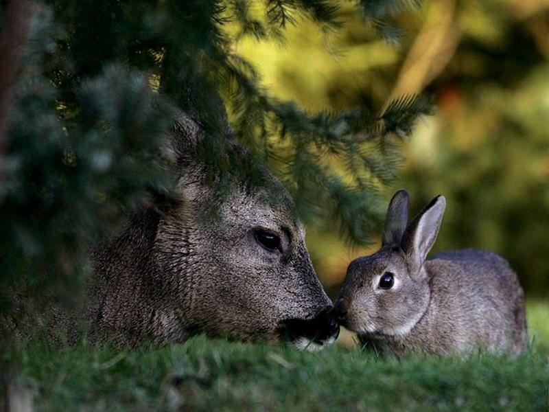 Lidé, kteří žijí s partnerem, obvykle žijí déle i díky tomu, že se