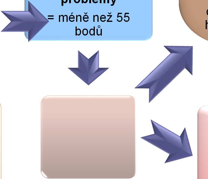 pracovníka v přímé péči Náklady na úvazek v přímé péči Využití služby Náklady na vybranou jednotku služby Podíl uživatelů s 3. a 4.