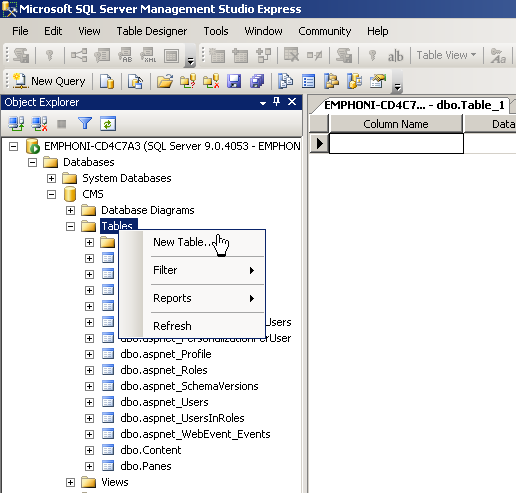 Tuto tabulku lze vytvořit například zadáním SQL příkázu: CREATE TABLE [dbo].