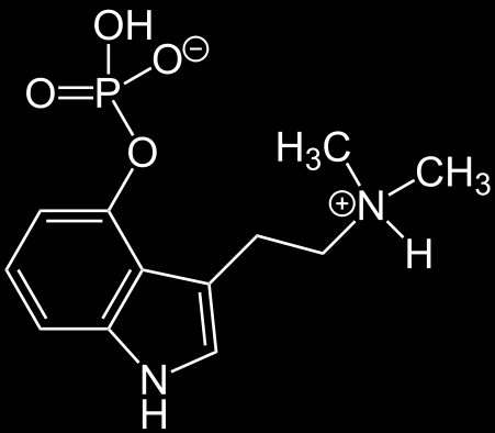 Ten potom působí jako částečný agonista k receptorům 5-HT2A v mozku, a napodobuje tak působení serotoninu.