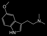 Nejstarším známkou užívání DMT byl nález váčku obsahujícího šňupací směs yopo obsahující DMT, 5- MeO-DMT a bufotenin v pohřebišti v severním Chile.