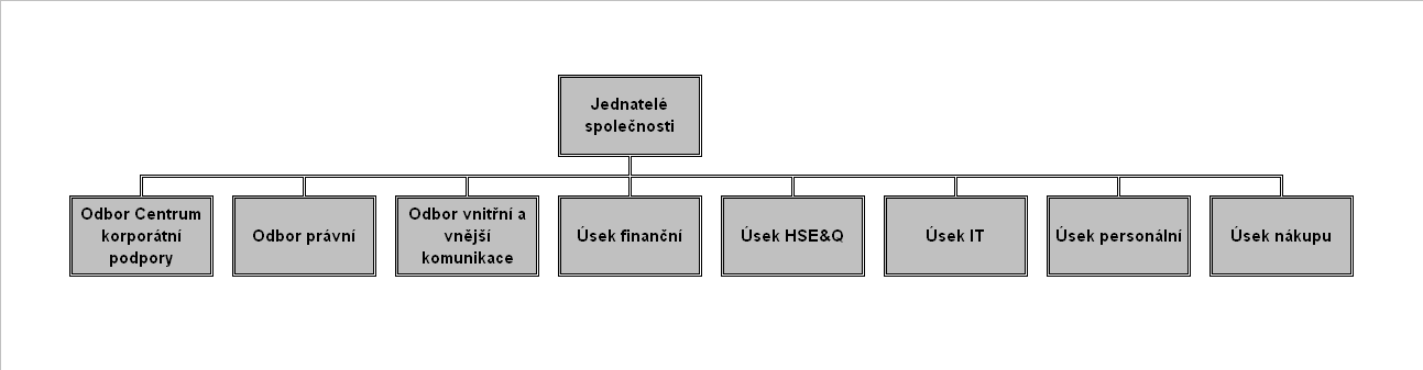 1.3 Organizační struktura společnosti 1.