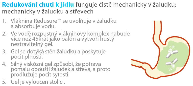 XL-S MEDICAL Redukování chuti k jídlu Redusure = glucomannan je speciální vlákninový komplex s vysokou kapacitou nabývání na objemu rostlinného původu (kořen konjacu) kontroluje chuť k jídlu, touhu