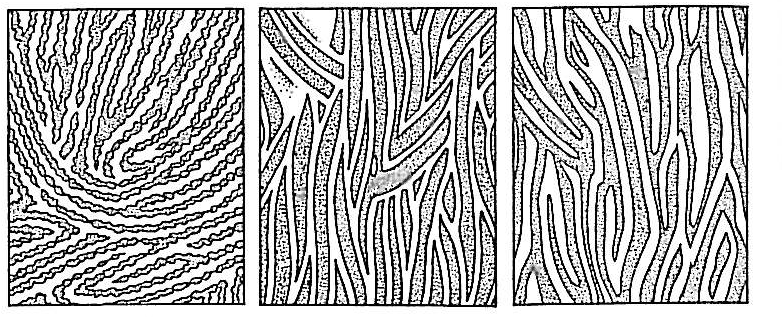 Obr. J: Echinátní skulptura (Beug, 2004) Obr.