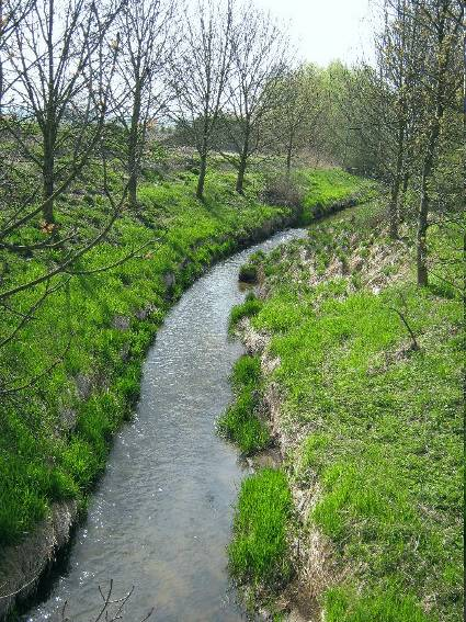 Kyselá voda Potok Kyselá voda pramení v nadmořské výšce 517 m na 49 3 22 N a 14 32 42 E, asi 0,5 km východně od obce Lhotice.