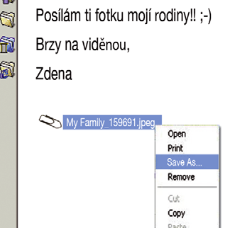 3. 3. Maminka podává Heleně další čaj a povzdechne si: A co máme dělat se spamem? Zdena vzhlédne od kreslení: slyšela se senem? Tady doma?