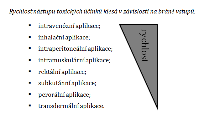 zvykat, což se označuje jako tolerance nebo návyk.