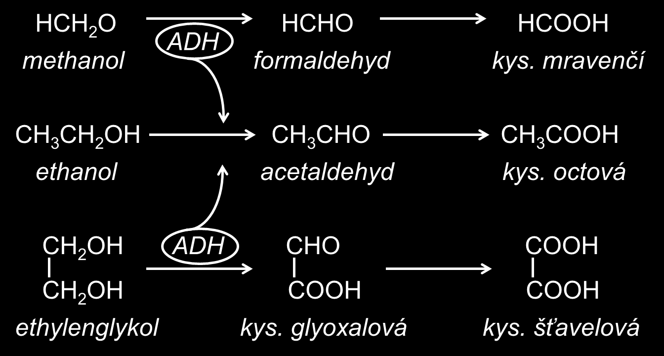 umožňuje využití ethanolu jako antidota (protijedu) v případě otravy methanolem (Rusek, 2001).
