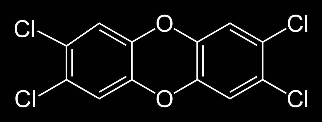 Obrázek 16