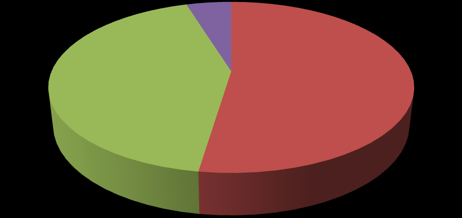 Graf č. 11: Věk pedagogických pracovníků (v procentech) % 19% % 57% spíše ano průměr spíše ne ne Zdroj: vlastní, dotazníkové šetření Tabulka č.