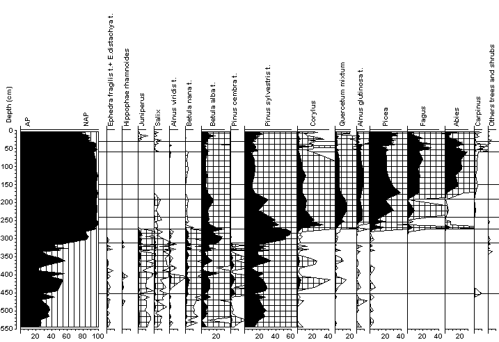 Pylové analýzy sedimentu Plešného