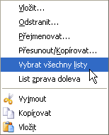 157 Vkládání dalších listů a jejich mazání Počet listů můžete zvětšit nebo zmenšit podle okamžité potřeby. Sešit může obsahovat nejvýše 256 listů.