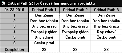 UTB ve Zlíně, Fakulta managementu a ekonomiky 81 Vzhledem k tomu, ţe všechny akce leţí na kritické cestě, tak zde nejsou ţádné časové rezervy.