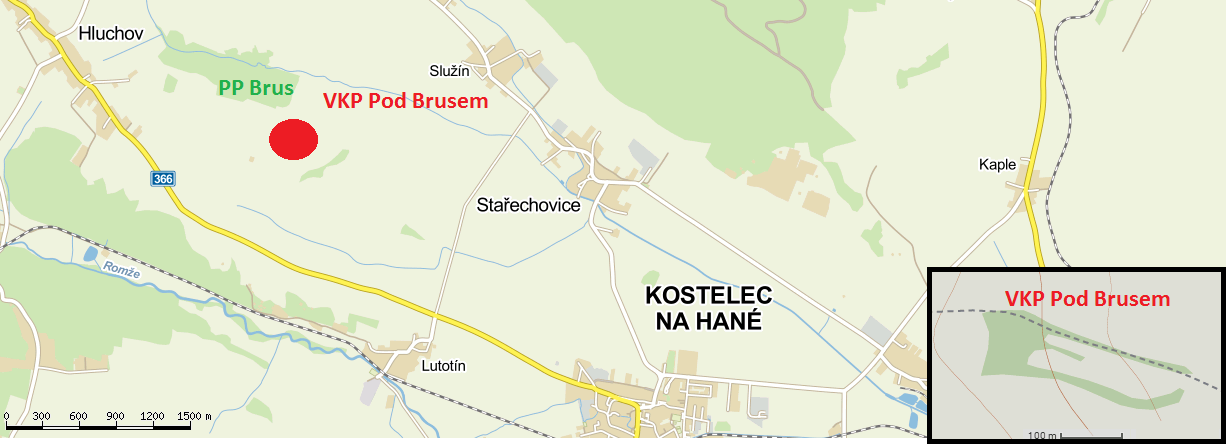 Pod Brusem Stařechovice, Služín Zeměpisné souřadnice 49 32'12" S. Š., 17 1'16." V. D. Datum vyhlášení 17. 6.