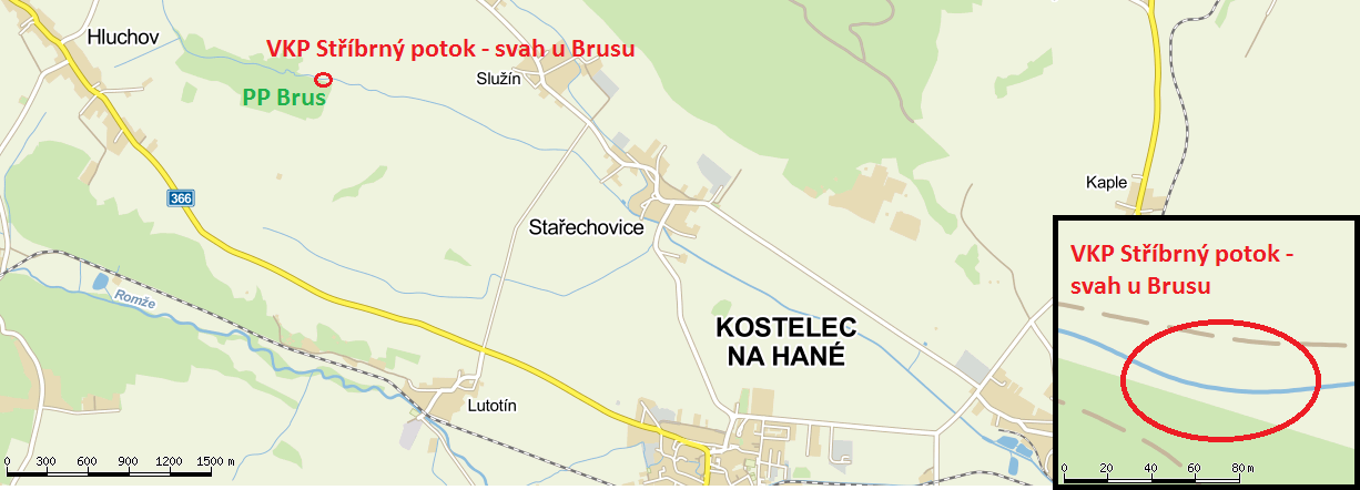 Stříbrný potok svah u Brusu Stařechovice, Služín Zeměpisné souřadnice 49 32'27" S. Š., 17 1'18" V. D. Datum vyhlášení 17. 6.