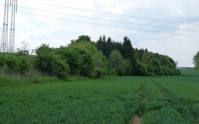 Gréty Stařechovice, Služín Zeměpisné souřadnice 49 31' 44" S. Š., 17 3' 14" V. D. Datum vyhlášení 17. 6.