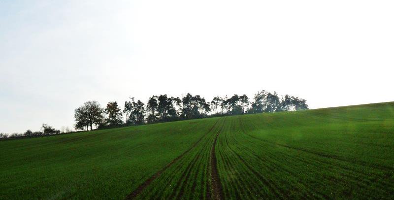 Hloušky Stařechovice, Služín Zeměpisné souřadnice 49 32' 1" S. Š., 17 1' 29" V. D. Datum vyhlášení 17. 6.