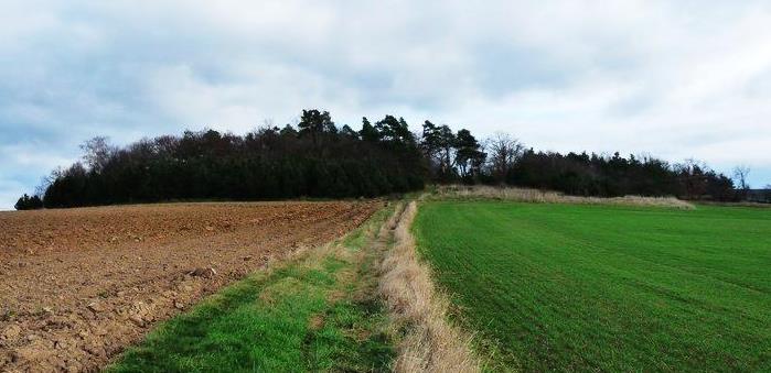 Klečnínek, Hájíček Krumsín Zeměpisné souřadnice 49 27'7" S. Š., 17 0'43" V. D. Datum vyhlášení 16. 5.