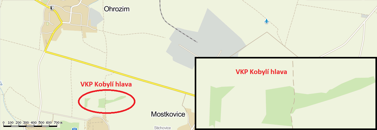 Kobylí hlava Ohrozim Zeměpisné souřadnice 49 28'378" S. Š., 17 1'34" V. D. Datum vyhlášení 2. 8.