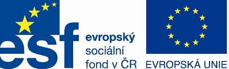 Poděkování Při poskytování sociálních služeb nás v roce 2011 podporovaly níže uvedené organizace a instituce. Touto cestou bychom jim chtěli poděkovat za jejich vstřícnost a finanční podporu.