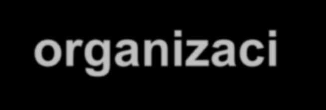 Řízení rizik dle ISO 31 000 Řízení projektových rizik (Project Risk Management)