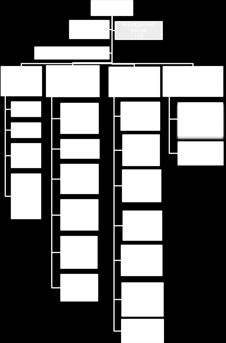 divizní organizační struktuře na