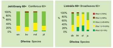 Defoliace základních druhů dřevin