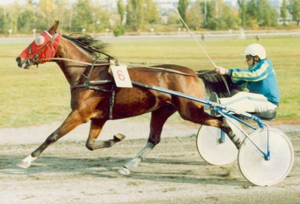 16:00 Cena Fidji Sund PRVNÍ DÍL PRAŽSKÉHO OKRUHU 2015 Čestnou cenu do dostihu předá pan Ladislav Štípa, bývalý trenér Fidji Sund.