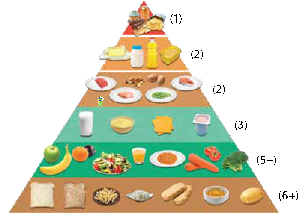 Klíčová slova a pojmy uvedené v předchozích úrovních: energie jídlo zdravý potravinová pyramida uhlohydráty bílkoviny vitaminy minerály vápník železo K našemu životu potřebujeme jídlo, protože nám