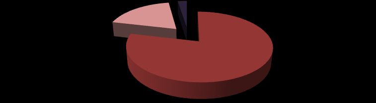 Otázka č. 7: Byli jste spokojeni s instruktorským týmem? 2,48% 0,00% 0,00% 18,81% 78,71% ano spíše ano částečně spíše ne ne Obr.