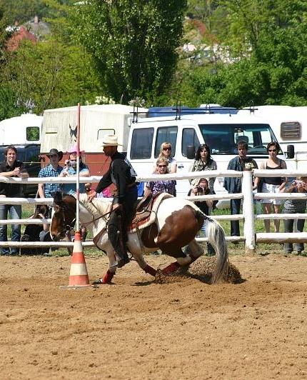 Cattle Branding, tedy značkování bylo ještě nad jejich síly a ţivé stádo ze šumavských pastvin se označkovat nenechalo. Jak se jezdí Team Penning se od juniorů mohli přiučit i dospělí jezdci.