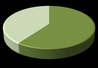 KAPITOLA 7. PŘÍLOHY 43 30. V jakém? Mathematica 2 Maple 2 Matlab 1 Derive 3 Jiný 0 Derive 38% Matlab 12% Mathem atica 25% Maple 25% 31. Zajímají se studenti o výuku matematiky na PC?