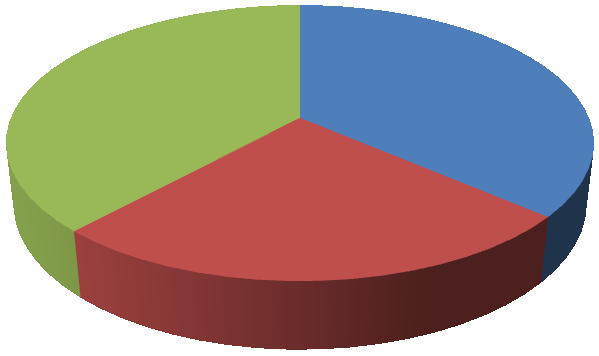 Graf 1: Počet návštěv hotelových hostů V tomto hotelu jste: 17% 27% 56% Poprvé - 33 Podruhé - 16 Již po několikáté - 10 Zdroj: Vlastní zpracování, 2013 Dále jsme zkoumali, kolik z hotelových hostů