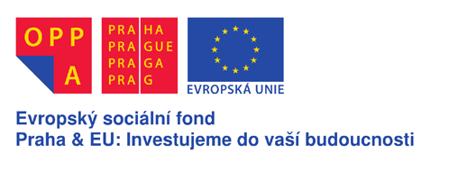 AVPO ČR v roce 2014 PROJEKTY Projekt Finanční stabilita neziskové organizace klíč k její dlouhodobé udržitelnosti Období realizace: 1. 7. 2013 31. 12.