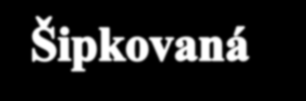 Po prozvonění telefonu jsme se vydali hledat cestu a plnit úkoly. Hra zaujala i holčičku, co byla na procházce s maminkou, a přidala se k nám.