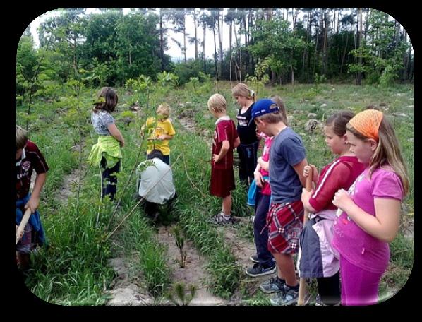 Lesní pedagogové žáky seznámili s péčí o stromy, s měřením výšky a šířky stromů,s prořezávkou a probírkou, se sázením nových stromků, s ukázkou těžby dřeva a prací tažného koně.